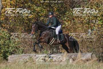 2021-10-24_13-41-35_03071 2021-10-24_13-41-35_03071