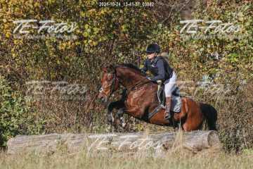 2021-10-24_13-41-37_03082 2021-10-24_13-41-37_03082