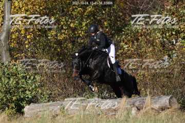 2021-10-24_13-41-38_03096 2021-10-24_13-41-38_03096