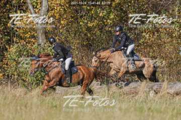 2021-10-24_13-41-40_03115 2021-10-24_13-41-40_03115