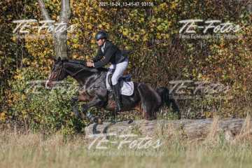 2021-10-24_13-41-47_03136 2021-10-24_13-41-47_03136