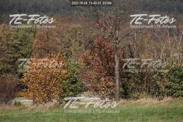 2021-10-24_13-42-31_03194 2021-10-24_13-42-31_03194