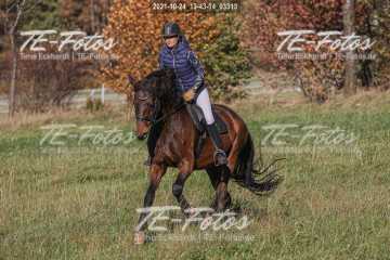 2021-10-24_13-43-14_03313 2021-10-24_13-43-14_03313