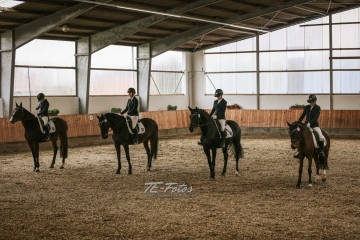 Vierkampf Sonntag Vierkampf Sonntag