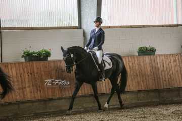 Vierkampf Sonntag Vierkampf Sonntag