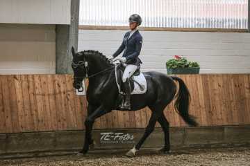 Vierkampf Sonntag Vierkampf Sonntag