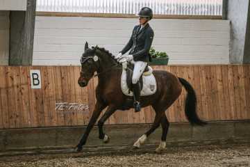 Vierkampf Sonntag Vierkampf Sonntag