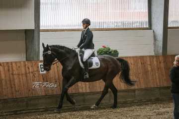 Vierkampf Sonntag Vierkampf Sonntag