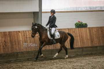 Vierkampf Sonntag Vierkampf Sonntag