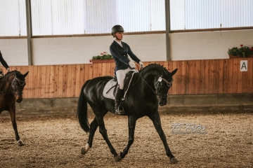 Vierkampf Sonntag Vierkampf Sonntag