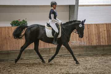 Vierkampf Sonntag Vierkampf Sonntag