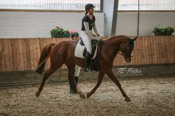 Vierkampf Sonntag Vierkampf Sonntag