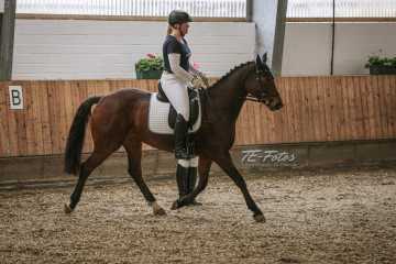 Vierkampf Sonntag Vierkampf Sonntag