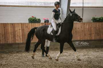 Vierkampf Sonntag Vierkampf Sonntag