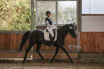 Vierkampf Sonntag Vierkampf Sonntag