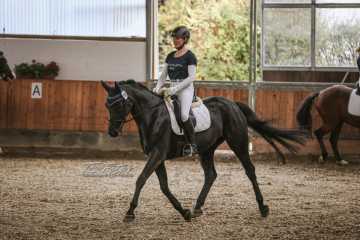 Vierkampf Sonntag Vierkampf Sonntag