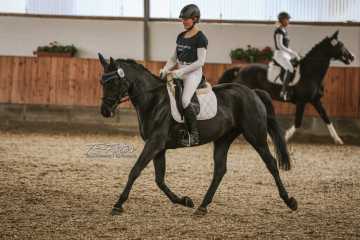 Vierkampf Sonntag Vierkampf Sonntag