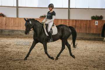 Vierkampf Sonntag Vierkampf Sonntag