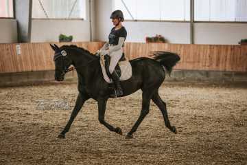 Vierkampf Sonntag Vierkampf Sonntag