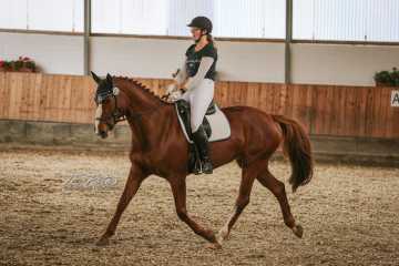 Vierkampf Sonntag Vierkampf Sonntag