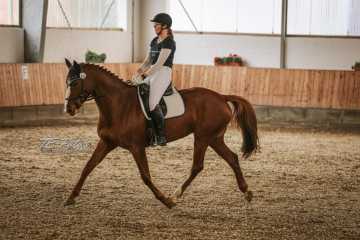 Vierkampf Sonntag Vierkampf Sonntag