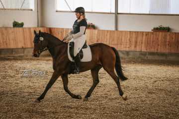 Vierkampf Sonntag Vierkampf Sonntag