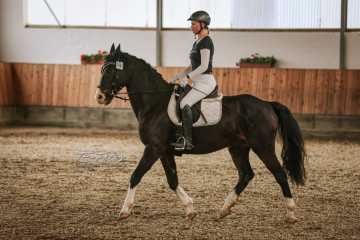 Vierkampf Sonntag Vierkampf Sonntag