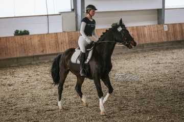 Vierkampf Sonntag Vierkampf Sonntag