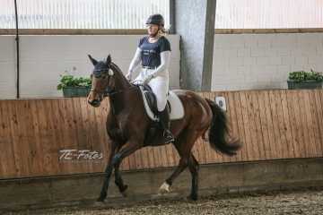 Vierkampf Sonntag Vierkampf Sonntag