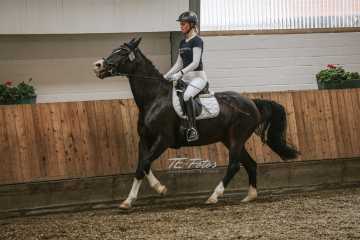 Vierkampf Sonntag Vierkampf Sonntag