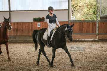 Vierkampf Sonntag Vierkampf Sonntag