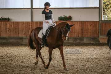 Vierkampf Sonntag Vierkampf Sonntag