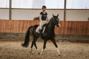 Vierkampf Sonntag Vierkampf Sonntag