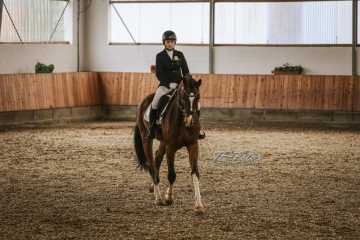 Vierkampf Sonntag Vierkampf Sonntag