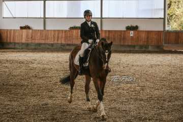 Vierkampf Sonntag Vierkampf Sonntag