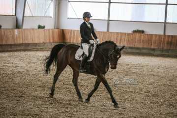 Vierkampf Sonntag Vierkampf Sonntag