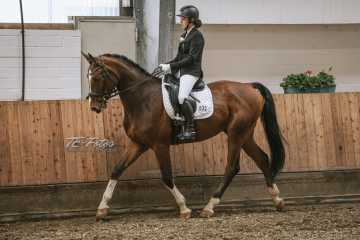 Vierkampf Sonntag Vierkampf Sonntag