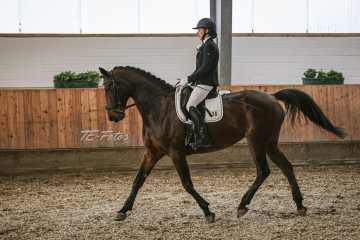 Vierkampf Sonntag Vierkampf Sonntag