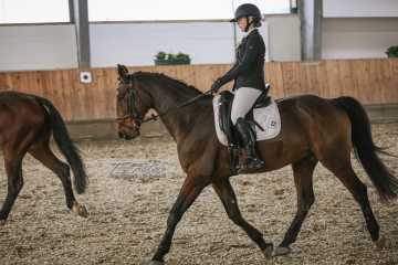 Vierkampf Sonntag Vierkampf Sonntag