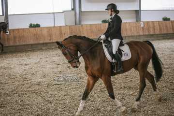 Vierkampf Sonntag Vierkampf Sonntag