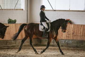 Vierkampf Sonntag Vierkampf Sonntag