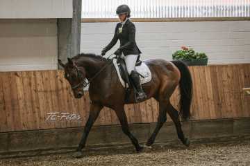 Vierkampf Sonntag Vierkampf Sonntag