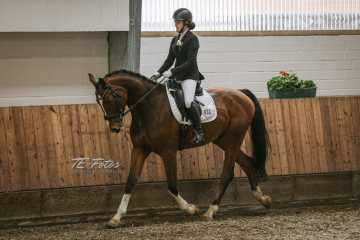 Vierkampf Sonntag Vierkampf Sonntag