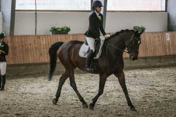 Vierkampf Sonntag Vierkampf Sonntag