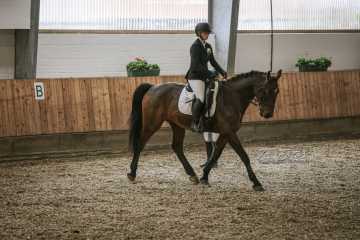 Vierkampf Sonntag Vierkampf Sonntag