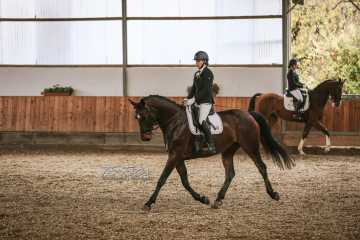 Vierkampf Sonntag Vierkampf Sonntag