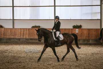 Vierkampf Sonntag Vierkampf Sonntag