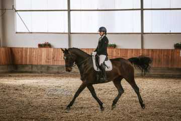 Vierkampf Sonntag Vierkampf Sonntag