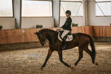 Vierkampf Sonntag Vierkampf Sonntag