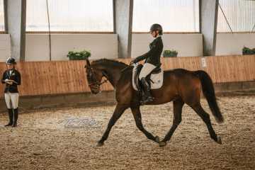 Vierkampf Sonntag Vierkampf Sonntag